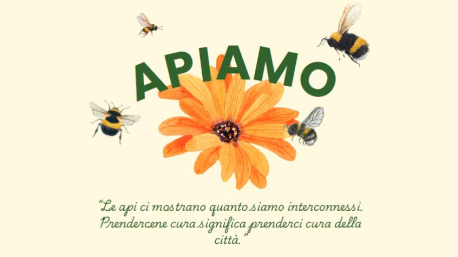 Tutela ambientale e biodiversità urbana, a Galliate appuntamento con 
